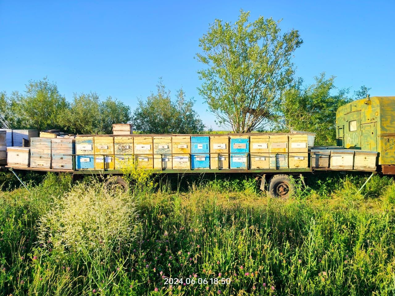 Продам прицеп с пчелосемьями