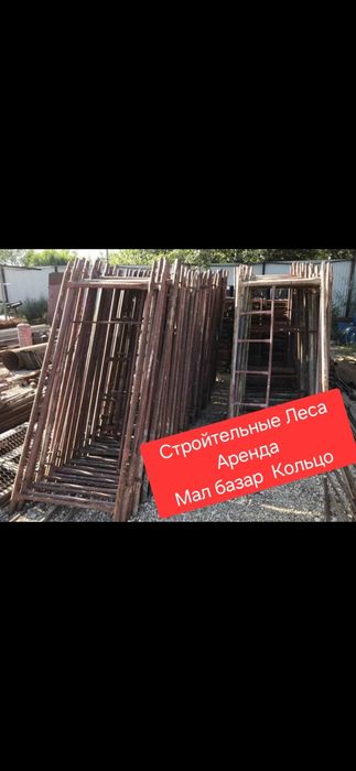 Леса Аренда. Аренда Леса. Леса