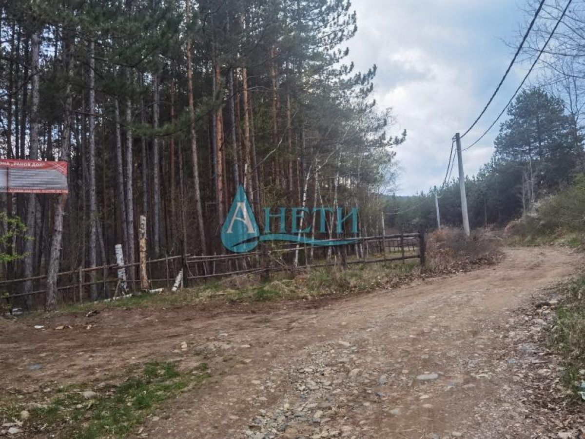 Продава се Парцел в с. Панчарево, Област София-град - 2253 кв.м за 14 €/кв.м - Снимка #2