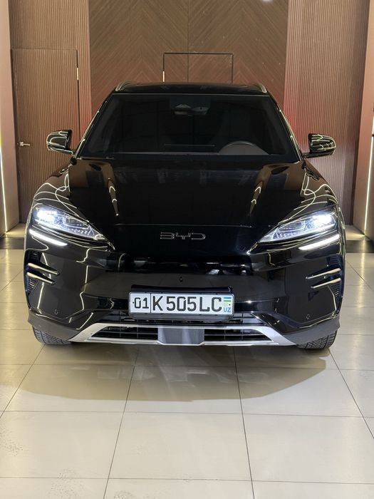 BYD Champion 2024 Restailing