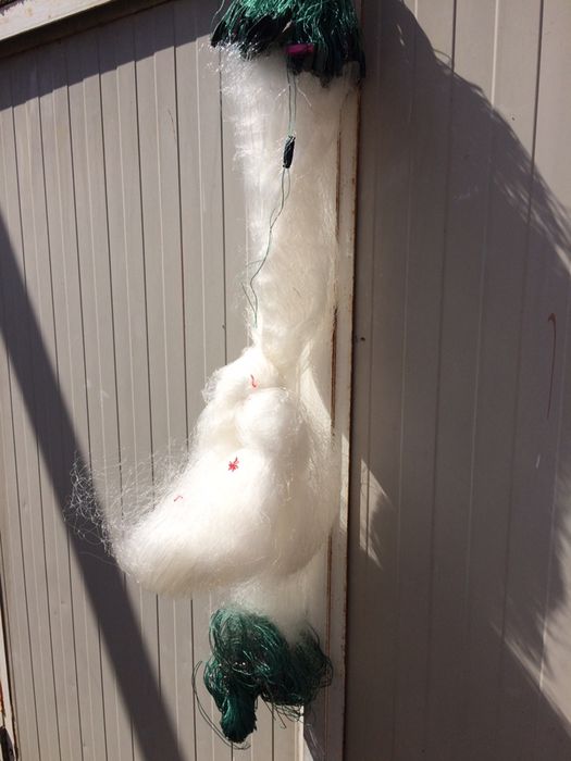 Plase pescuit cu radine