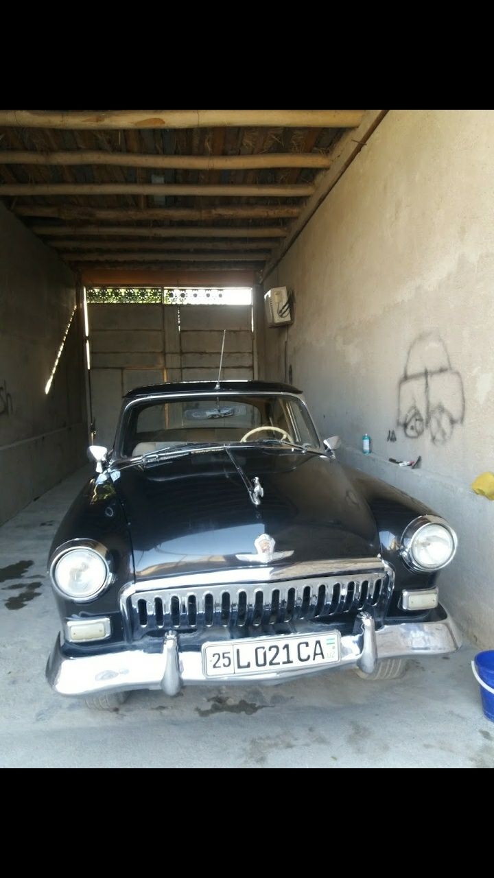 volga                      21