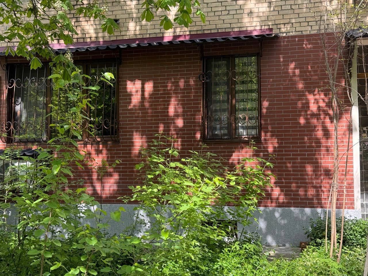 Квартира в аренду Ц 2