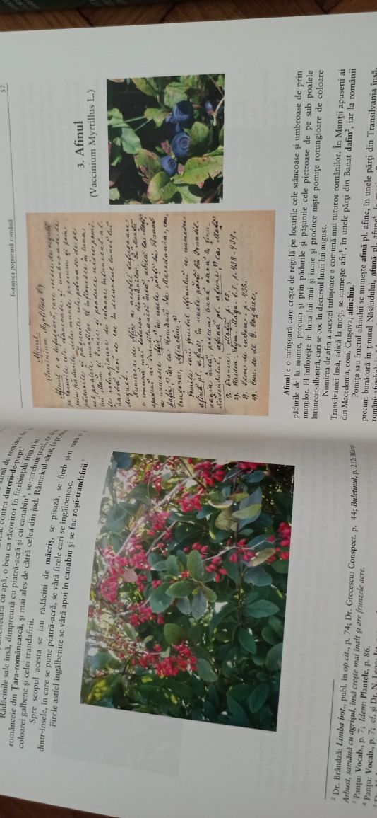 Botanica poporană română ( SET ) Simion Florea Marian. Academia Romană