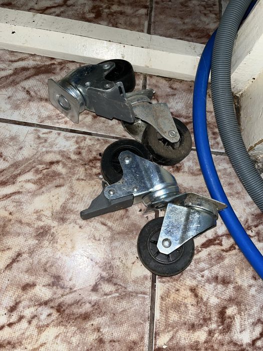 Vand cusca  transport animale