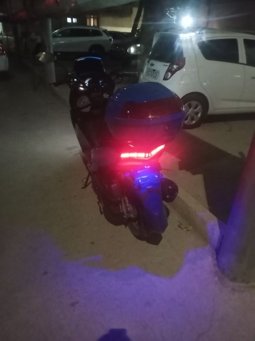 Sikutr sotiladi naxtga