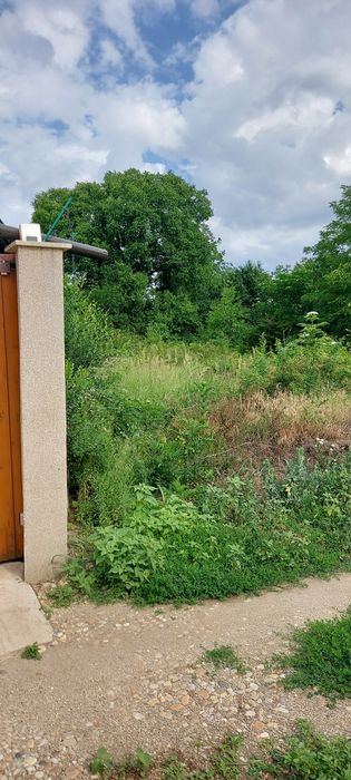 Vand teren ptr casa in Chitila Ilfov
