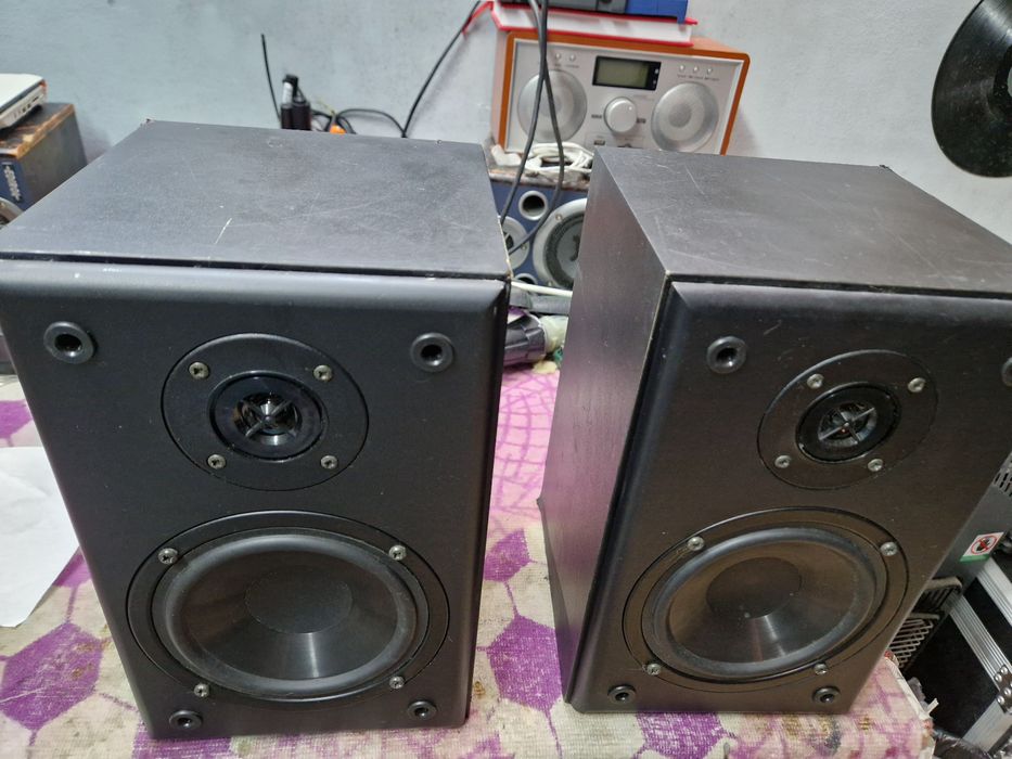Monitoare (boxe) lady micro 60w