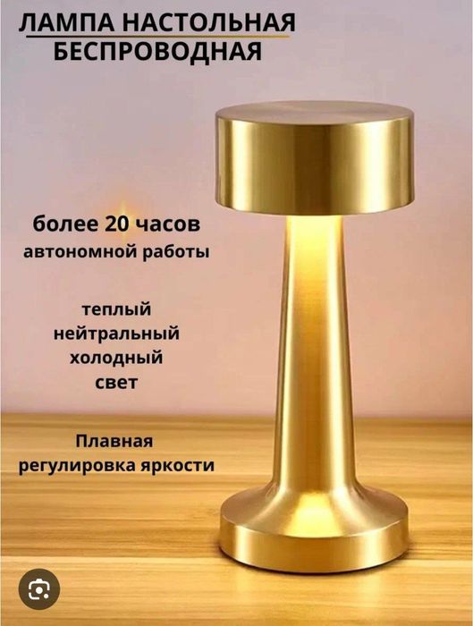 Лампы ночники беспородные