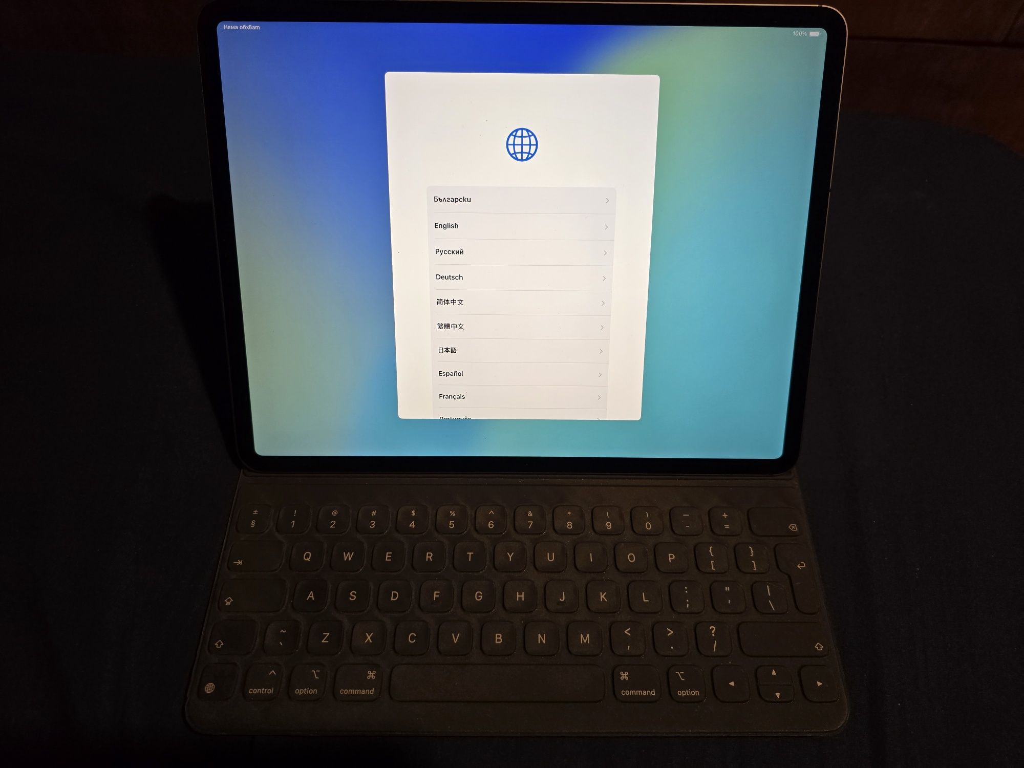 Apple iPad Pro 12.9" 2018 (3rd Gen)  256 GB