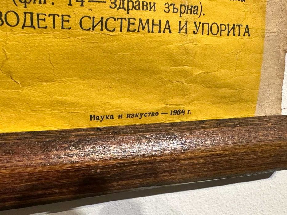 Соц Учебни Плакати Постери Ботаника