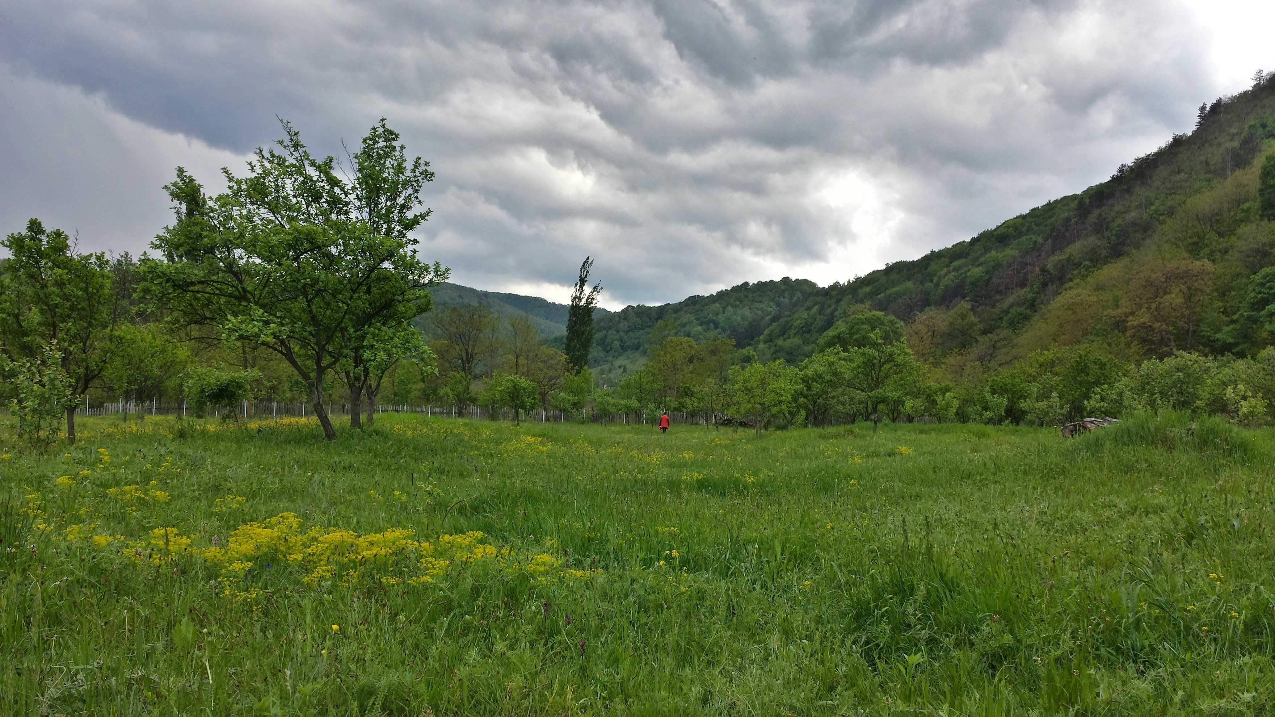 grădină de vânzare, Costești Hunedoara