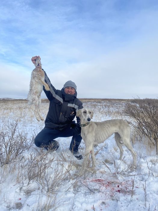Тазы 4 жасар ауызданған ұрғашы