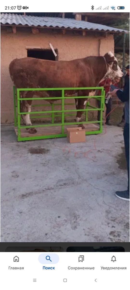 Tarozi xizmati uyingizga borib tortib beramiz
