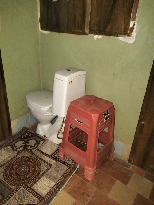 Отдам даром, бесплатно