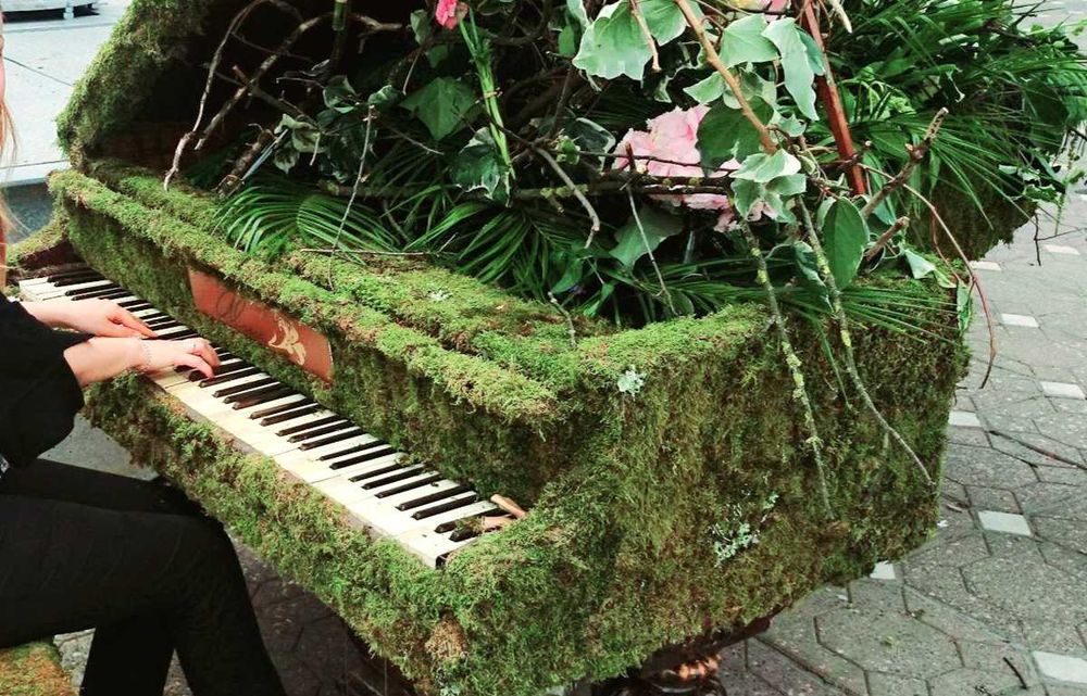 Cursuri de Pian, Canto, Teorie si Armonie muzicala