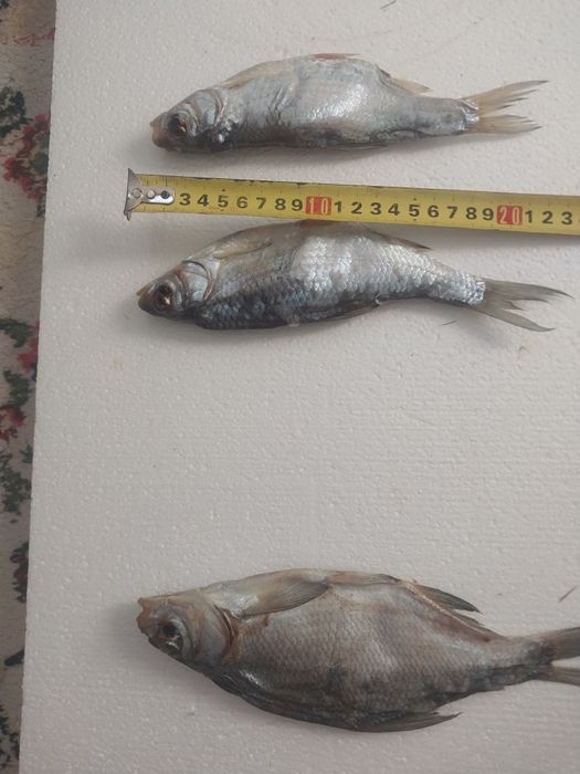 Вобла Лещ судачек