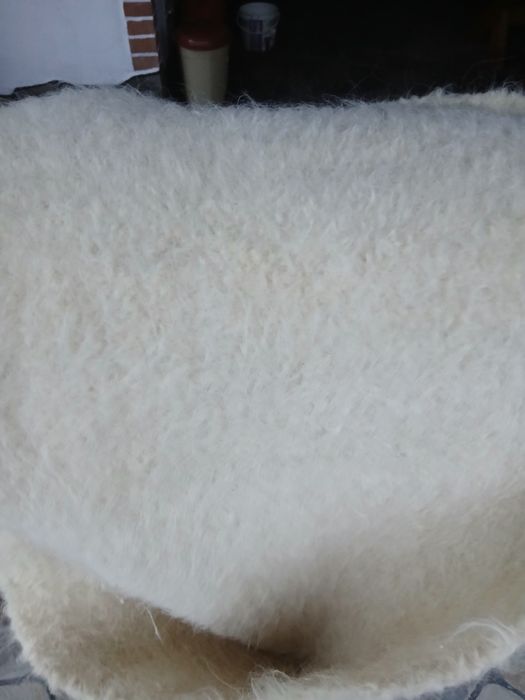 Pănură de gubiță