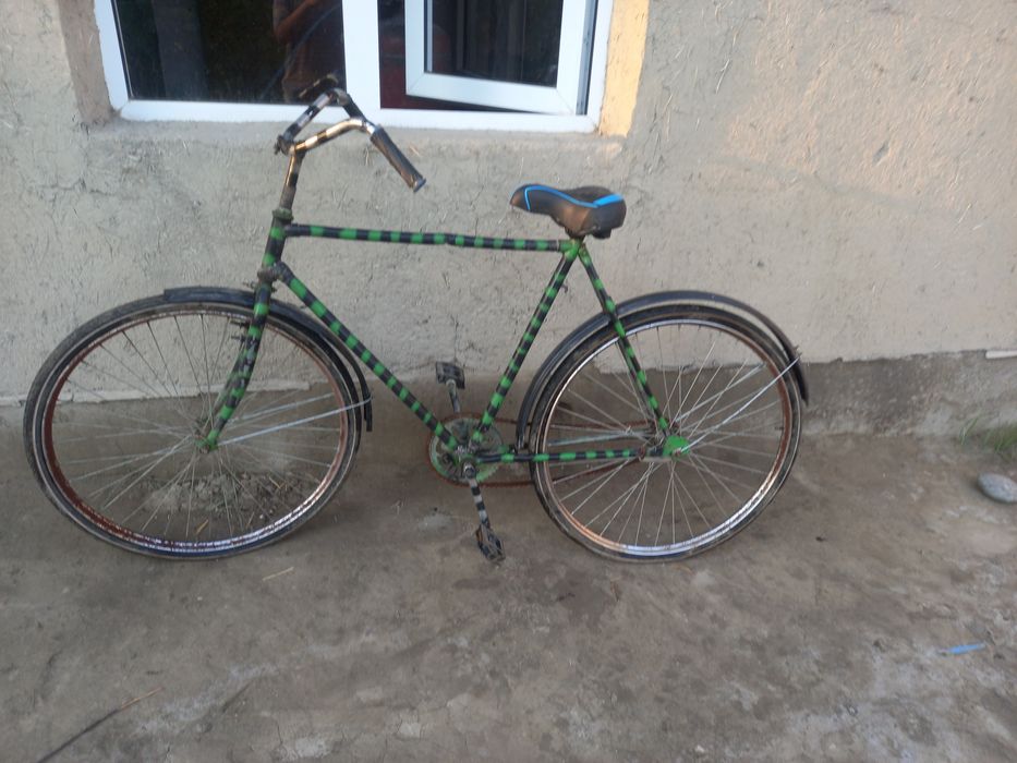 VILEK #VELIK #velosoped