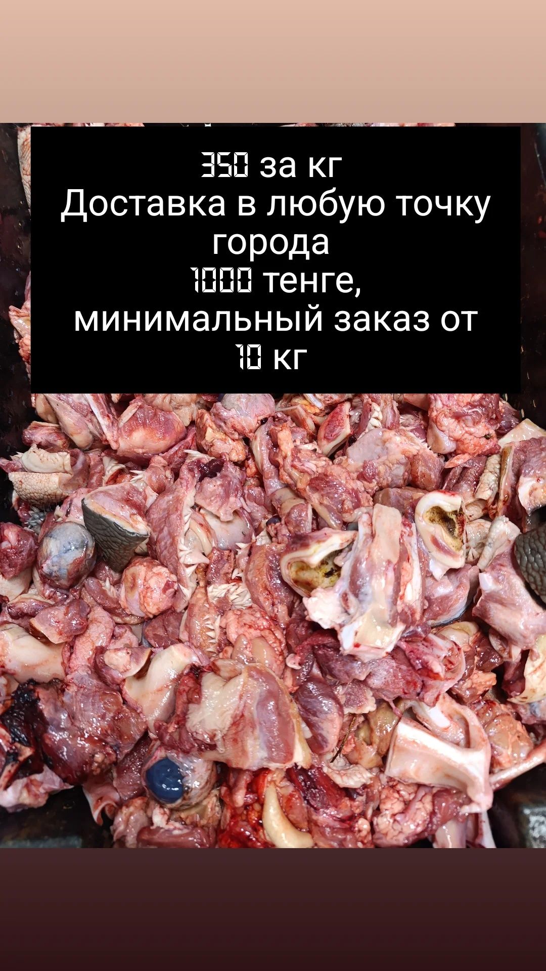 Мясо для собак, фарш , рубец