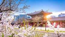 Koreyaga viza olish