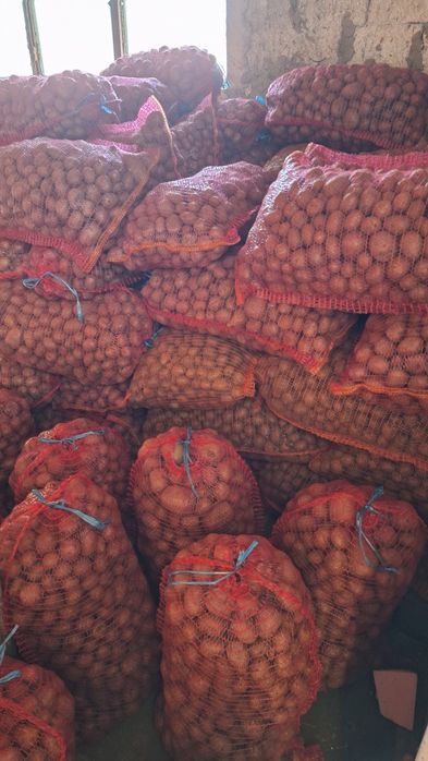 Cartofi pt animale in cantitati mari