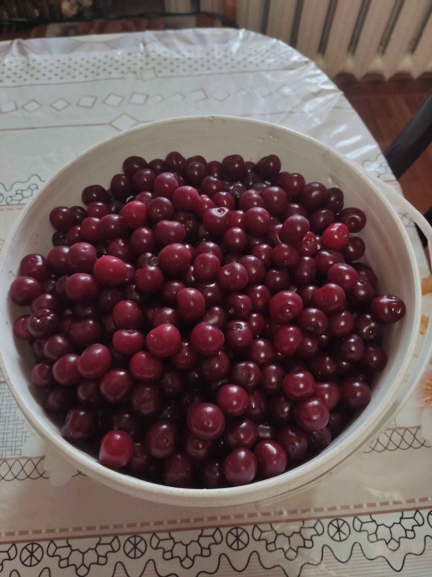 Продам свежую вишню