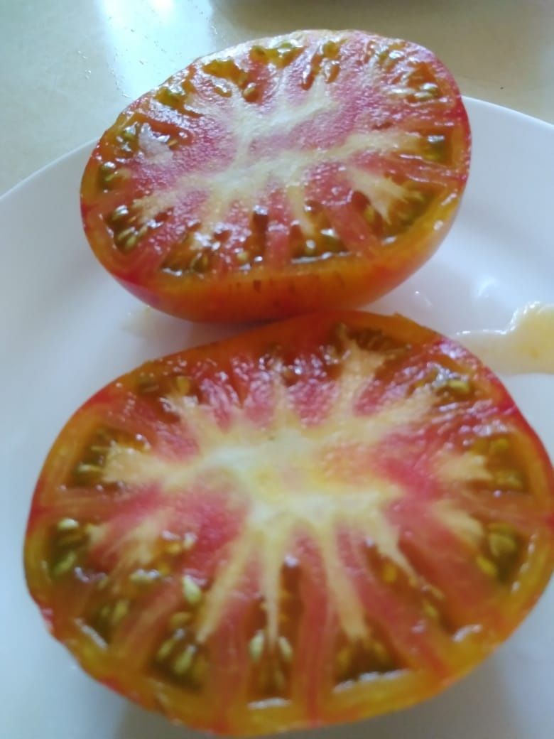 Колекционные семена томатов