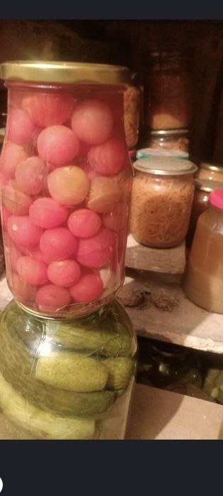 Продам соленье разное