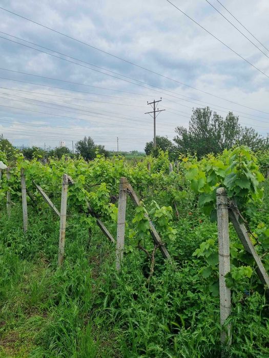 Продава се Парцел в Ямбол, Център - 755 кв.м за 10 €/кв.м - Снимка #2