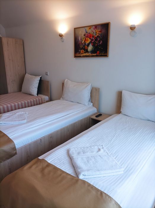 Pensiune,regim hotelier,Casa Darius