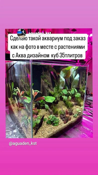 Чистка обслуживание аквариумов