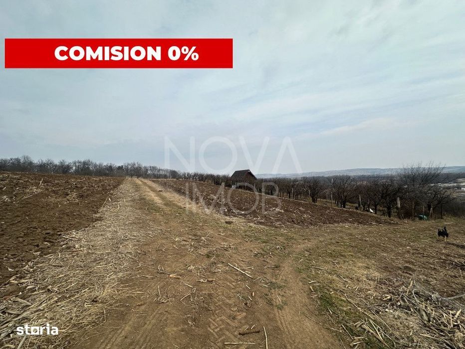 Teren de vanzare in Ocna Sibiului – Locatie premium langa lacurile s