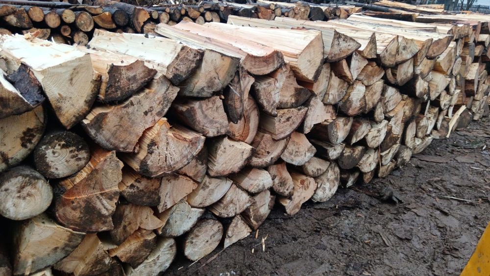 Brad sii fag   start comenzi  preț bomba