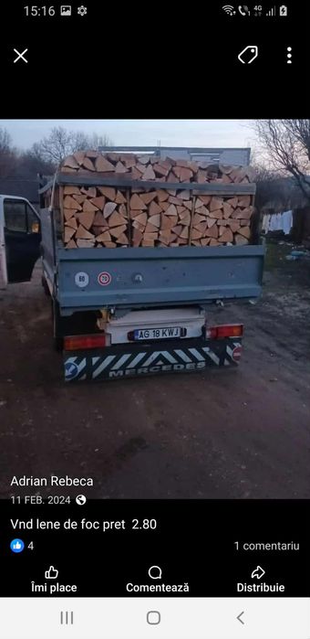 Lemne de foc tăiate și sparte