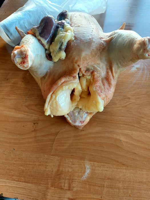 Продам домашных бролерное мясо