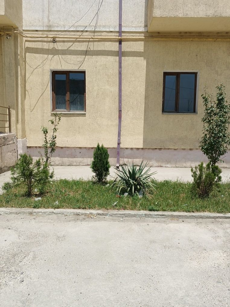 1 хоналик квартира