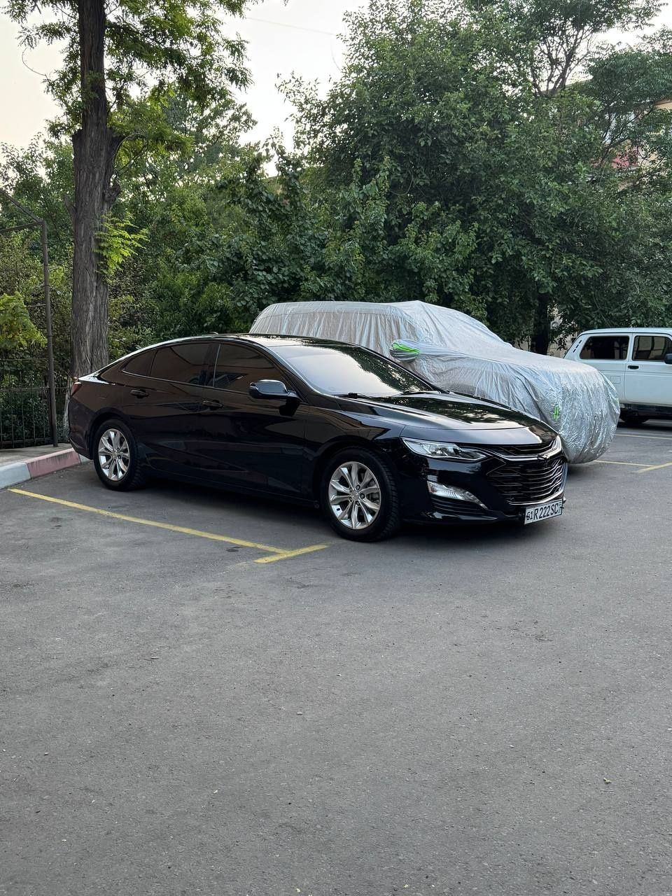 Malibu primer 2021 black edition