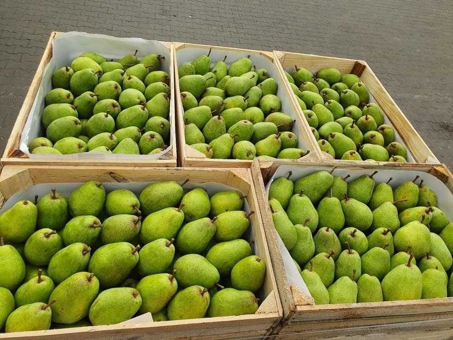 Pere frumoase și proaspete, diferite ambalaje și soiuri!