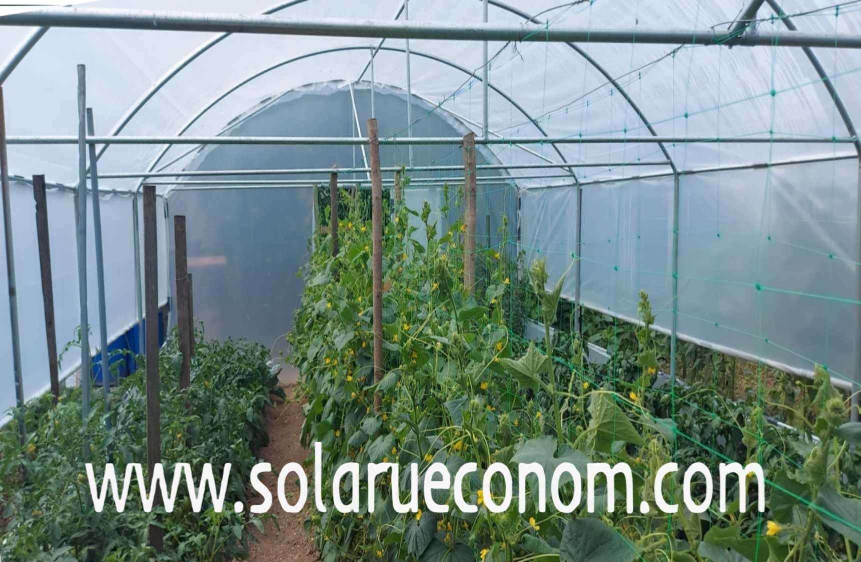 Solarii (sere) complete, arcade, folie