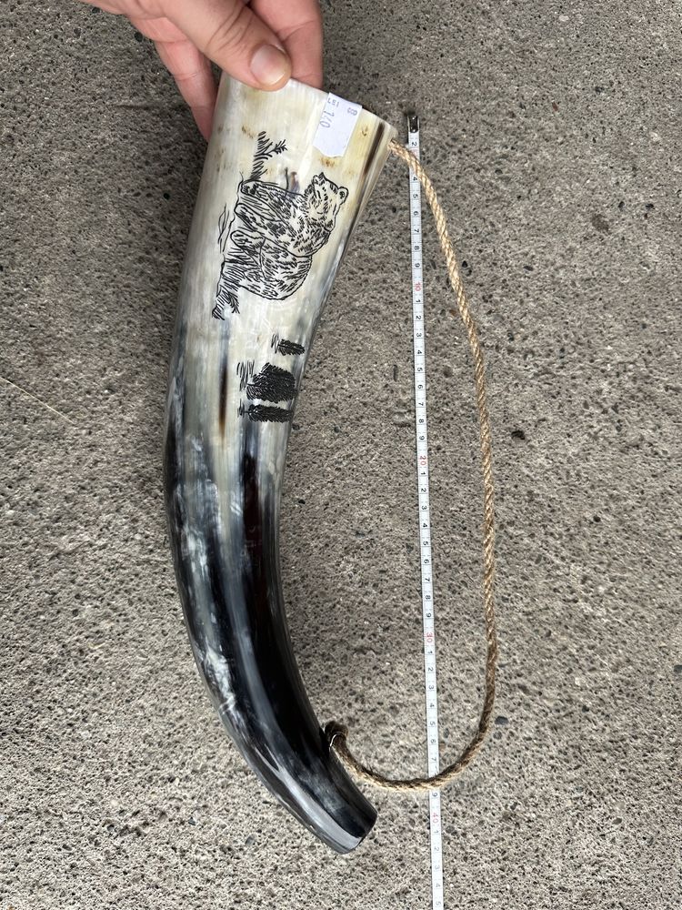 Coarne Lupta Viking , Coarne de baut , corn dr taur