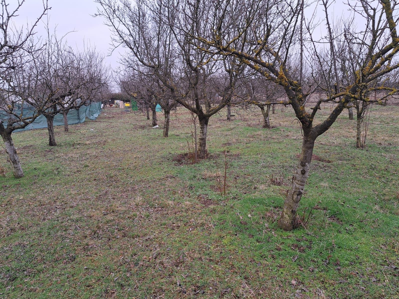 Teren intravilan 3000 mp/Pretabil locuinta/Depozit/