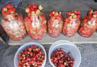 Смородина ягоды жидек клубника малина вишня ежевика Облепиха рябина