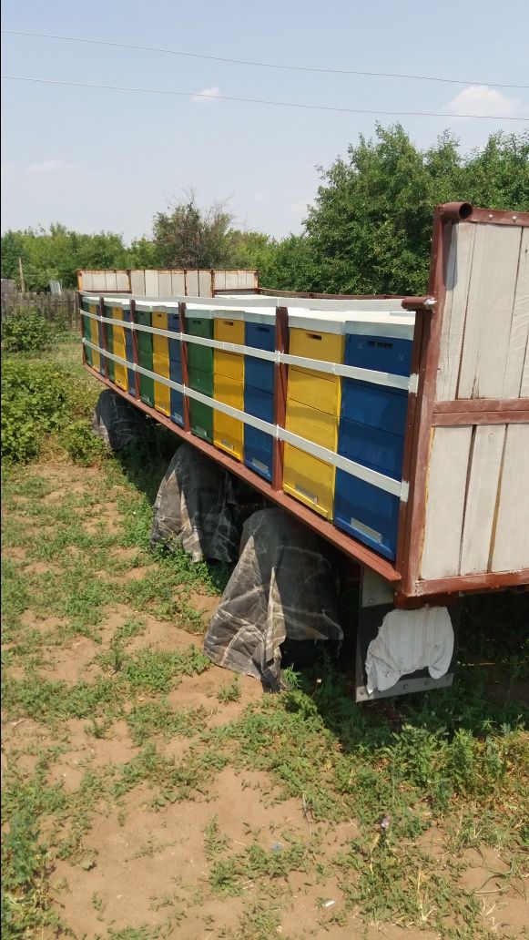 Пчела прицеп вместе