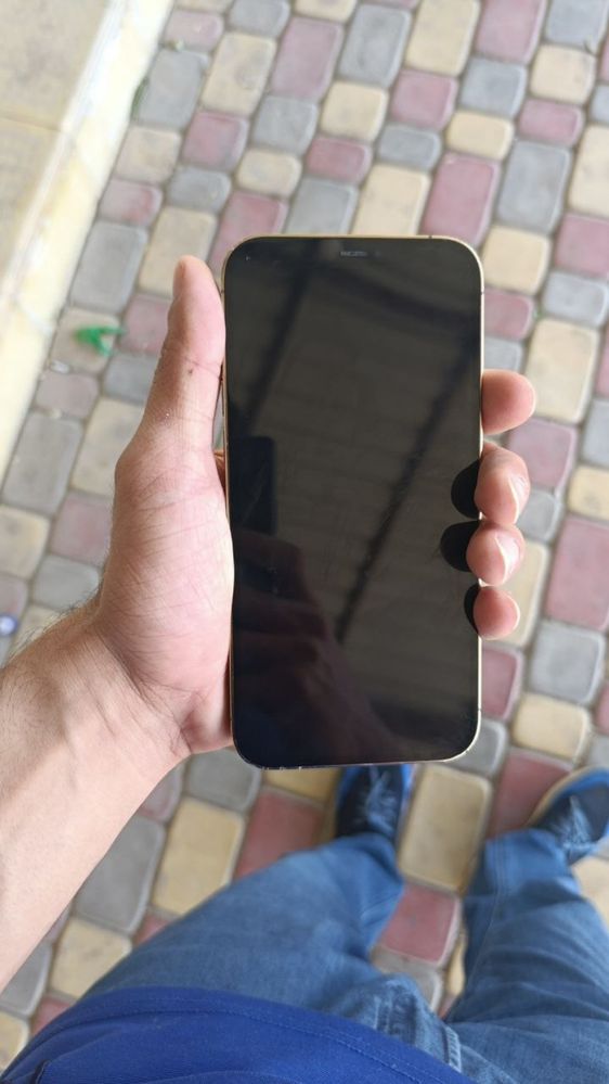 iphone 12 pro max 256 gb