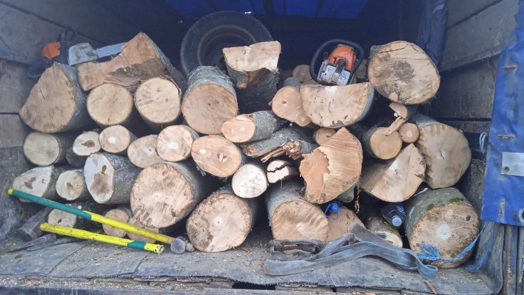 Vând lemne bune de fac groase