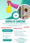 Curățenie Iași/împrejurimi