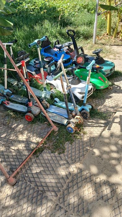 Bu veliklar samakatlar