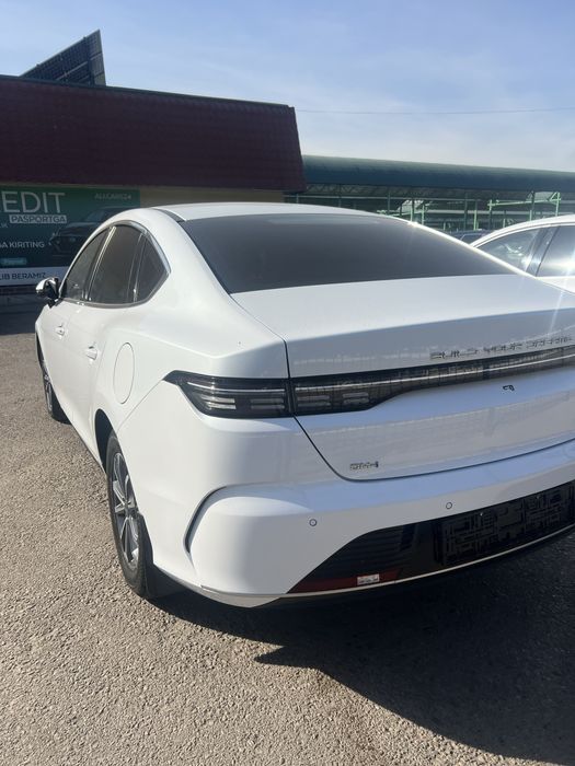 Byd chazor gibrid 2024