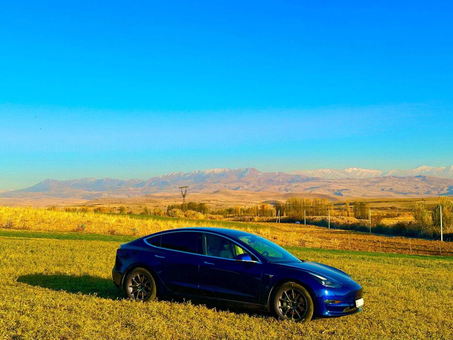 tesla model 3 dual motor  2020